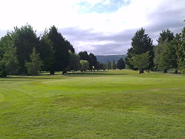 Twelve Oaks Golf Course
