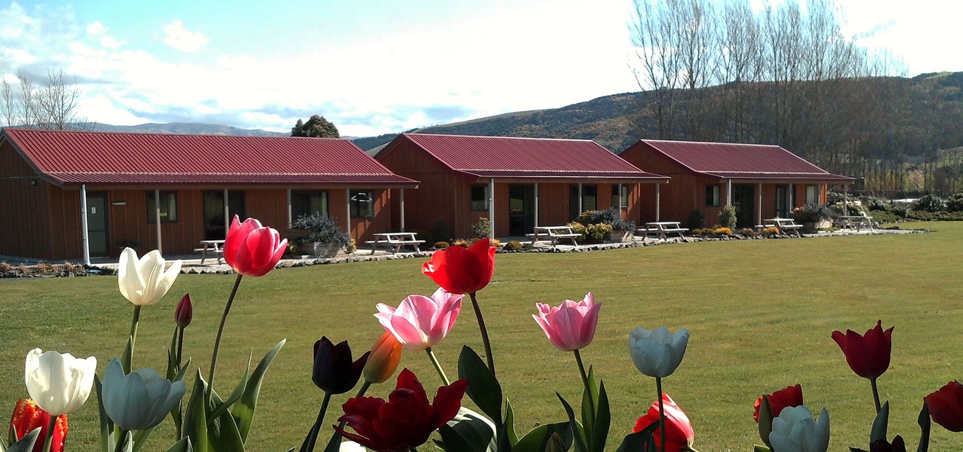 motel units located on 5 acres of landscaped land